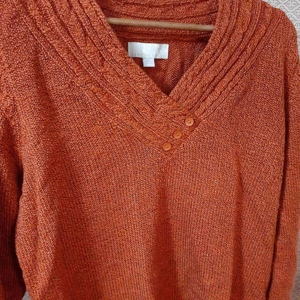 Carolyn Taylor XL Russ Sweater